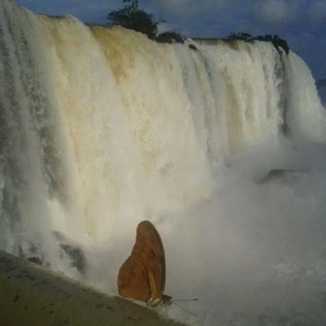 Aconchego Lar Cama E Cafe Bed & Breakfast Foz do Iguaçu Eksteriør bilde